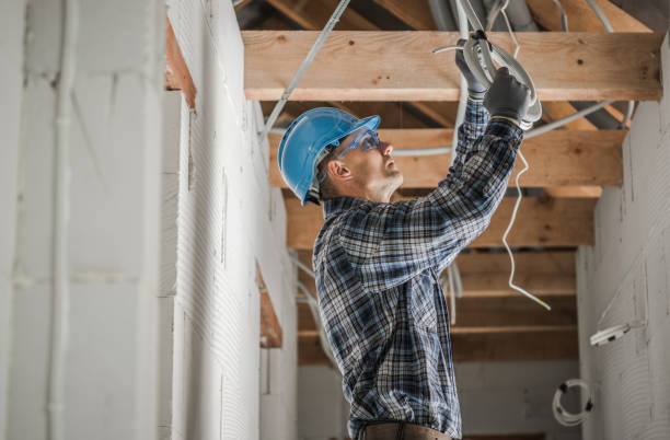 Best Electric Panel Repair  in Hamlin, TX
